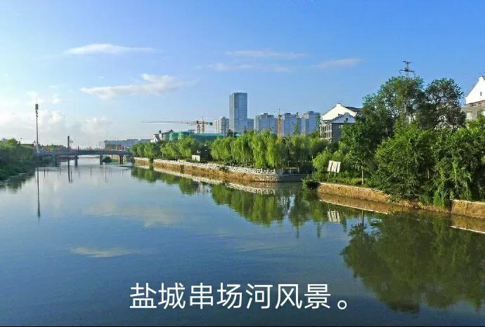 当代婚姻情感故事,连载：人狗情缘,一