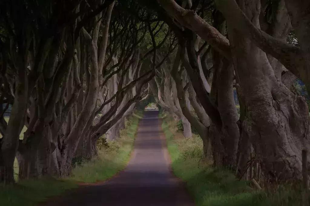 权力的游戏西班牙取景地,权力的游戏拍摄取景点