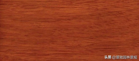 木纹最好看的木材图片,各种木材纹理图片与名称