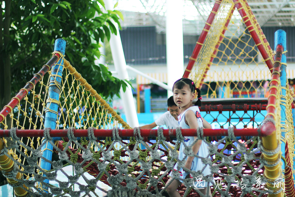 百万葵园有多坑,百万葵园免门票