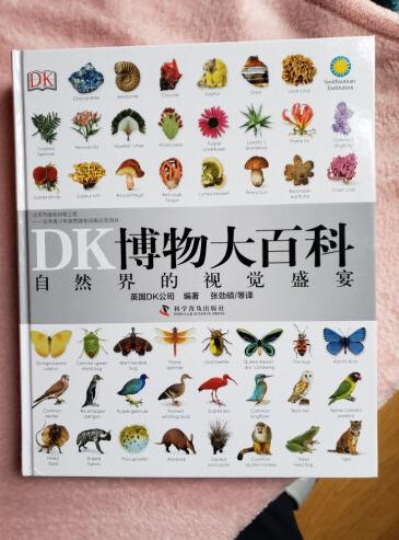 让更多的孩子走进早教课堂,早教课该不该上