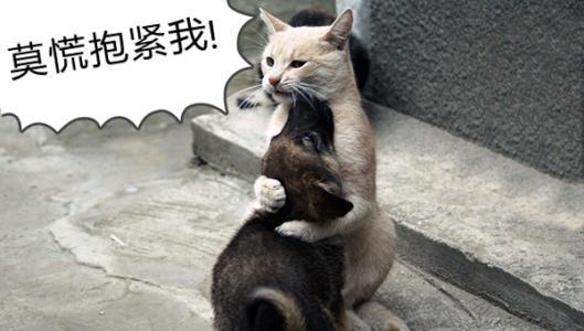 警惕套路贷新骗局,遭遇套路贷之后该如何正确的应对