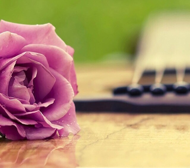 老公进看守所我该不该回娘家,老公进看守所我应该找谁倾诉