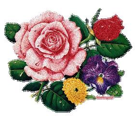 正月初九祝福语送给朋友,正月初九最美祝福伴大家长长久久