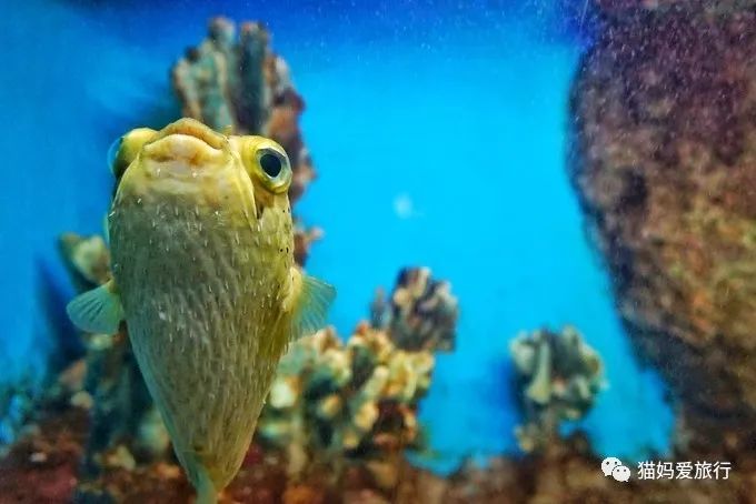 齐河附近带孩子自驾游景点,周边亲子游齐河