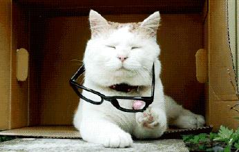 日本眼药水被禁售新闻,日本含有违禁成分的眼药水