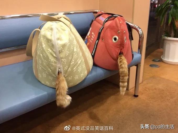 m78基因跟吃香菜有什么关系,不喜欢吃香菜的科学原因