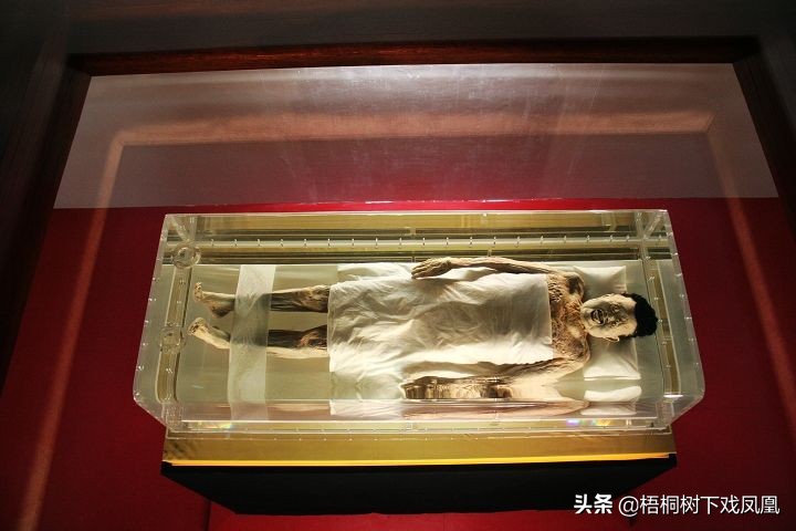 长沙马王堆汉墓女尸保护,长沙马王堆女尸复原