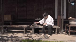 吸猫最高境界图片,吸猫最高境界完整视频