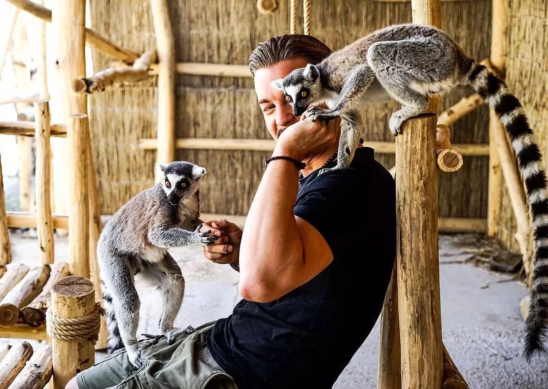 放弃百万年薪，去非洲撸猫？长腿版小李子引63w人舔屏：看我看我