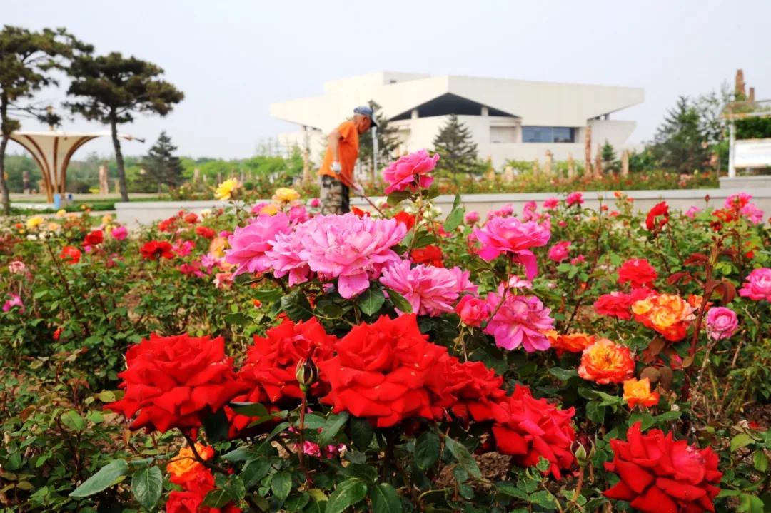 锦州世博园自由行,锦州世博园攻略