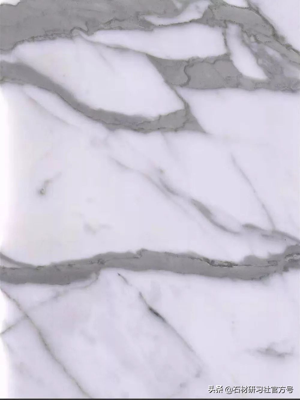 雪花白鱼肚白的区别,鱼肚白和雪山白的区别