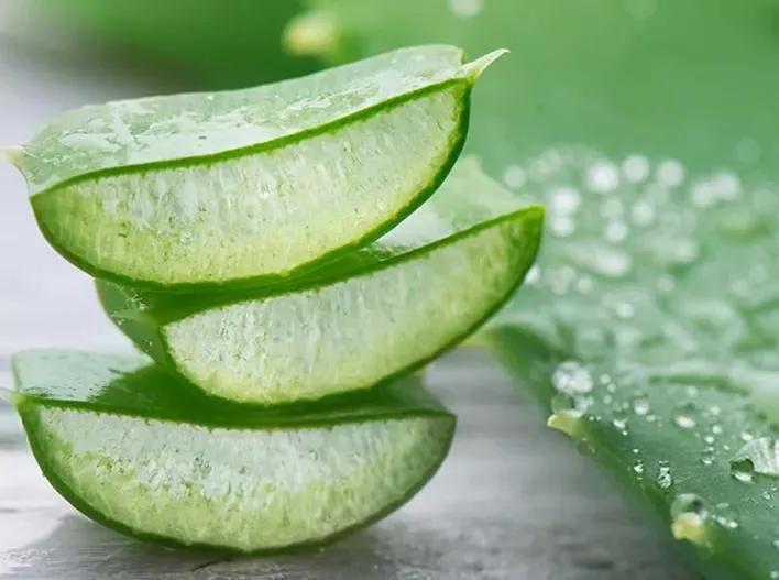 5种“女人花”，随便养一种，能养女人心，摘花泡茶，养颜健康