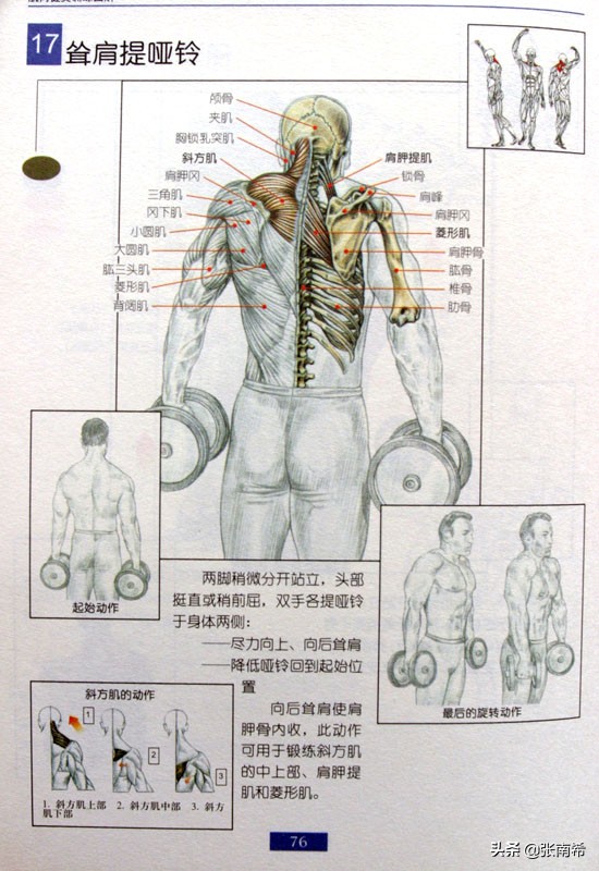 男士健身的进阶之路,男士运动健身全攻略