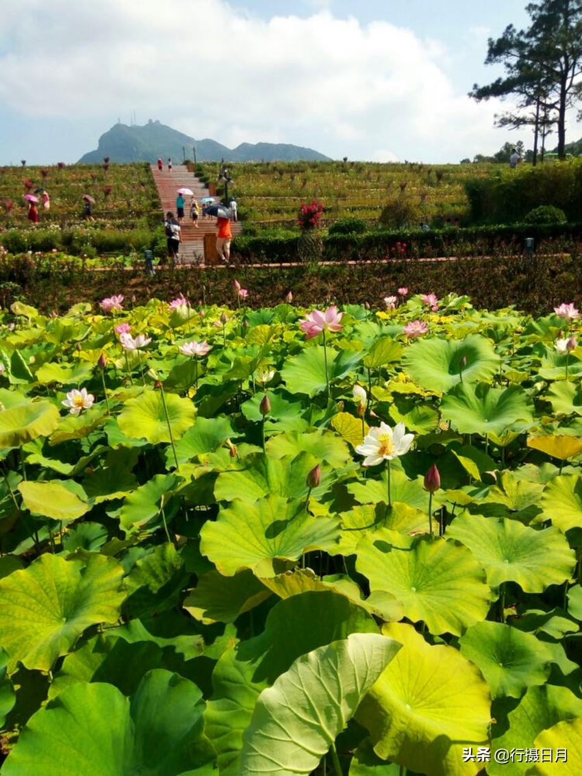 走进老乐山，徜徉如意湖，探访重阳登高之源