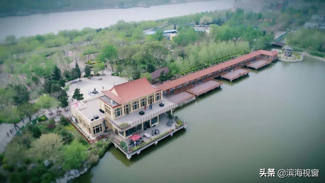 有一种童年叫做迪士尼,有一种童年叫贾静雯