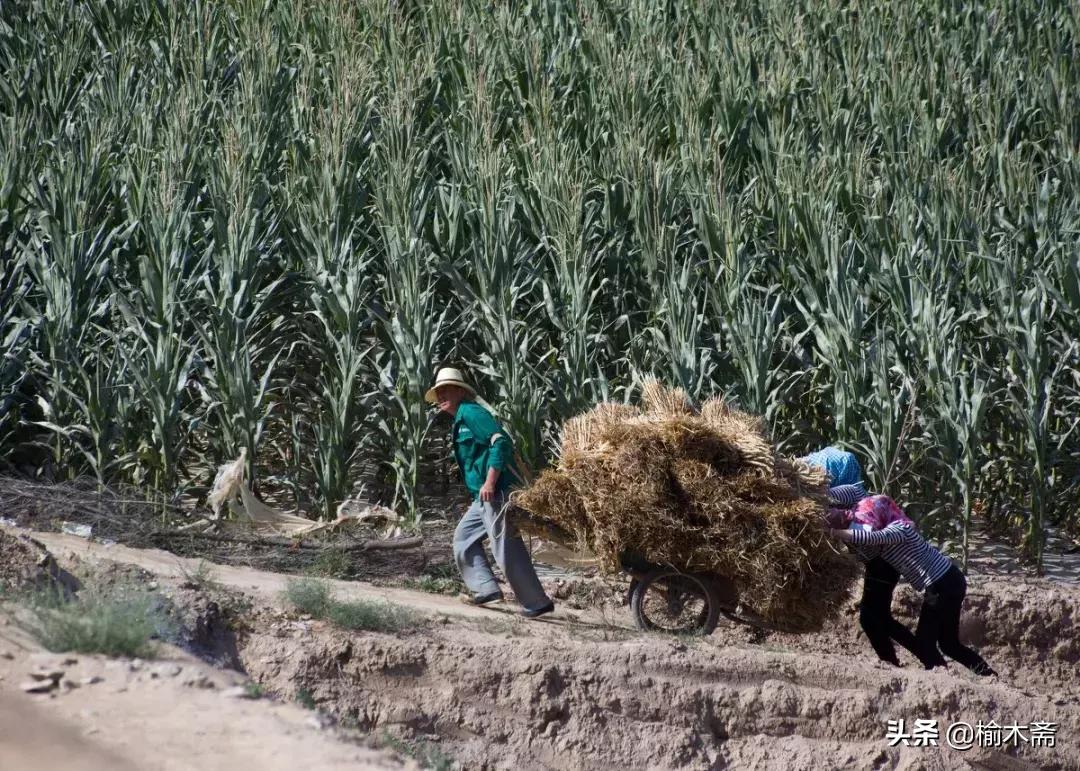 令人最难忘的经典车型,微型电动小平车