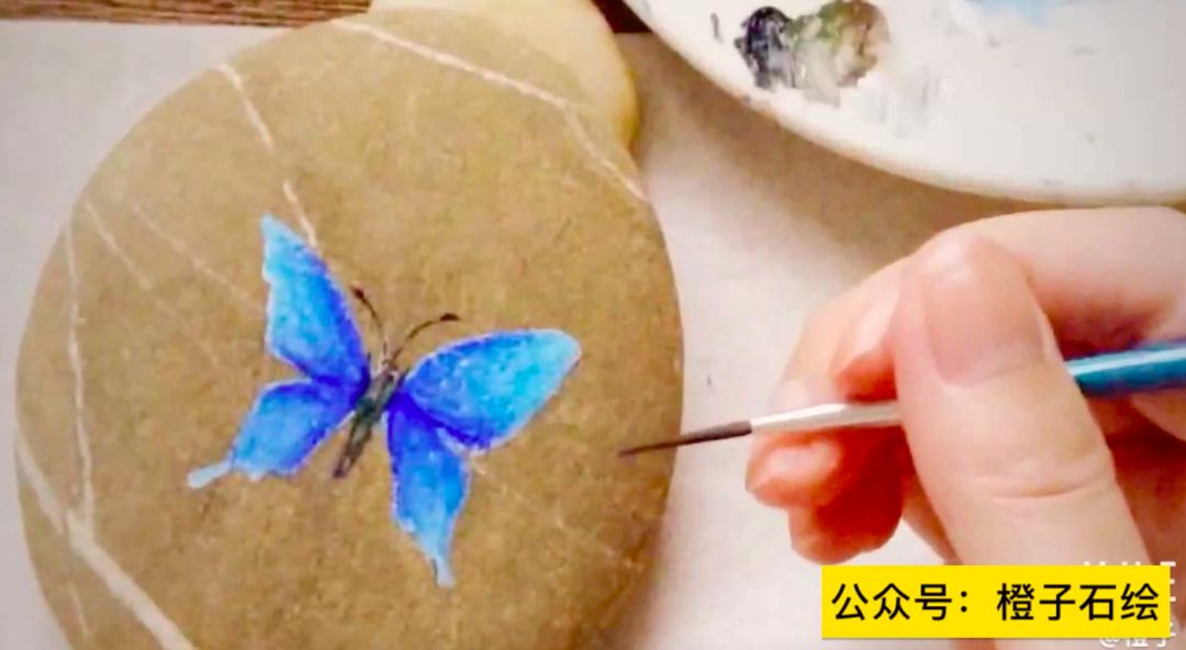 石头画蝴蝶教程视频,在石头上画蝴蝶用丙烯颜料