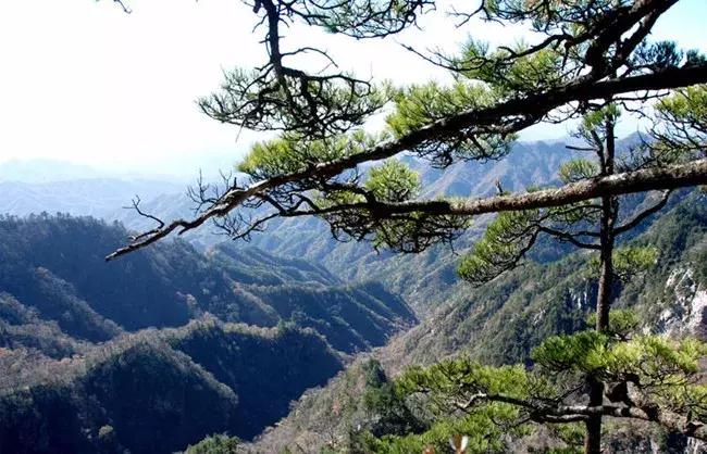 陕西省哪些市发展好,陕西各个县发展排名