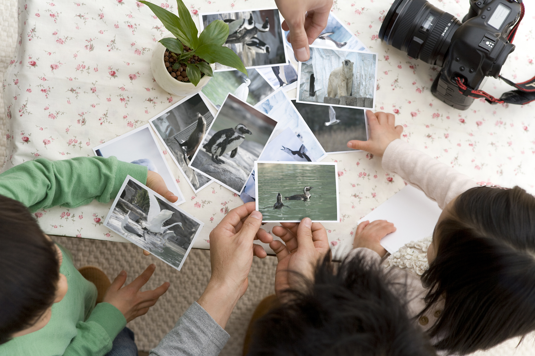 法学专业怎么样？法学专业的3大优势和弊端！
