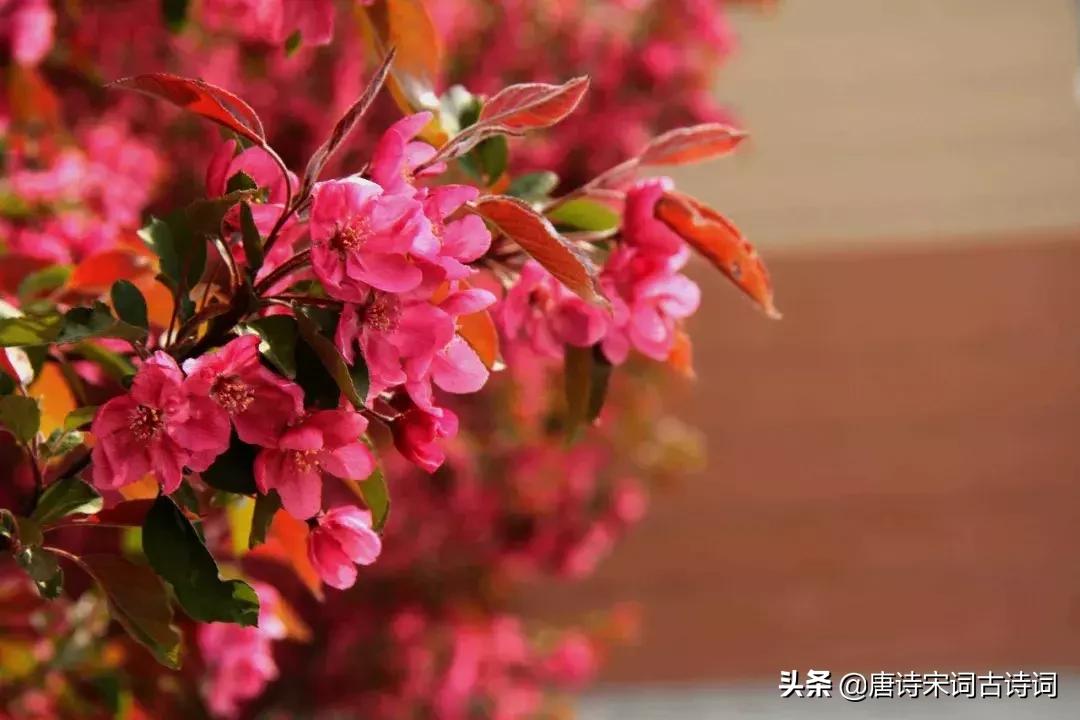 杜牧写下一诗短短4句感人至深,杜牧的十首经典诗篇