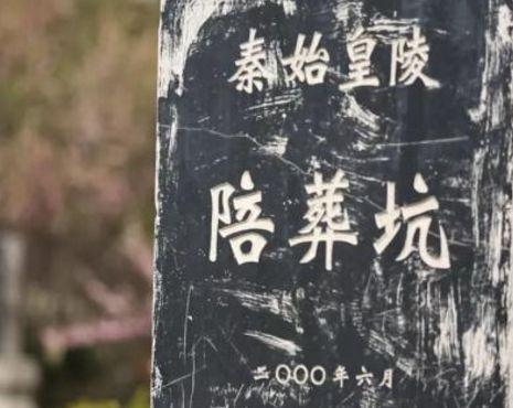 秦始皇帝陵陪葬墓新发现,秦始皇帝陵新发现将军俑