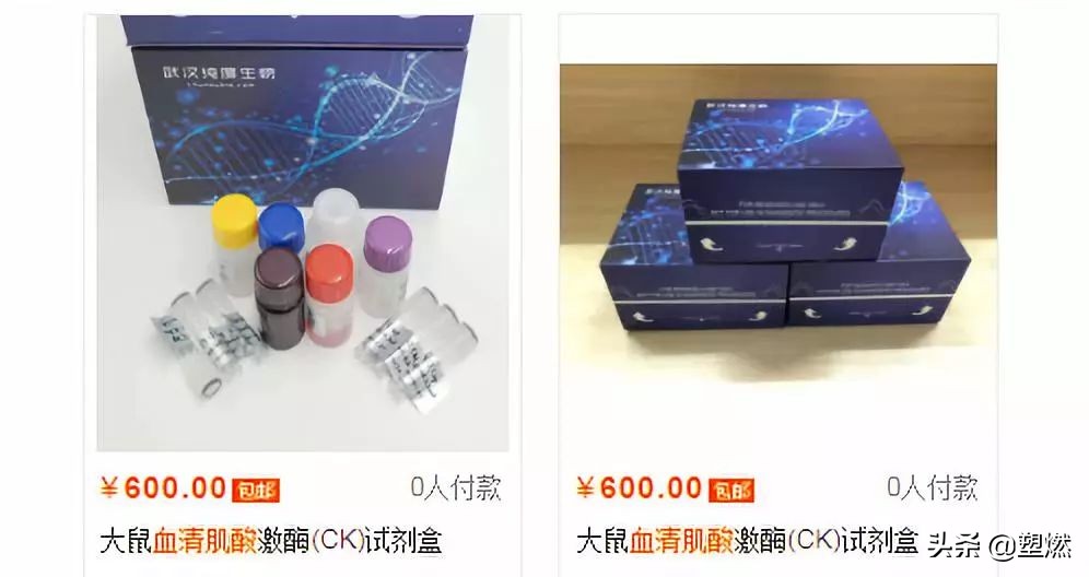 肌酸补剂的选择,肌酸补剂和纯的一水肌酸