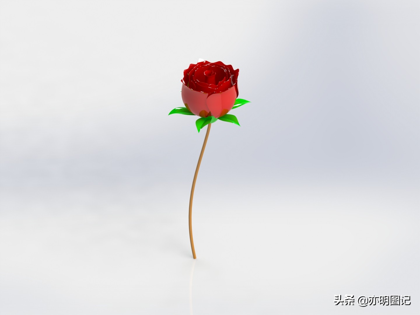 用solidworks画玫瑰花,solidworks怎么画玫瑰花