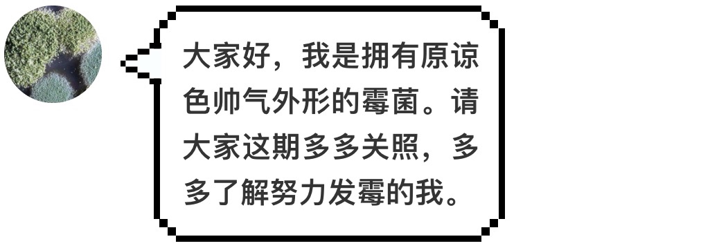 汉堡王又碰瓷麦当劳了，这次用的是发霉的汉堡