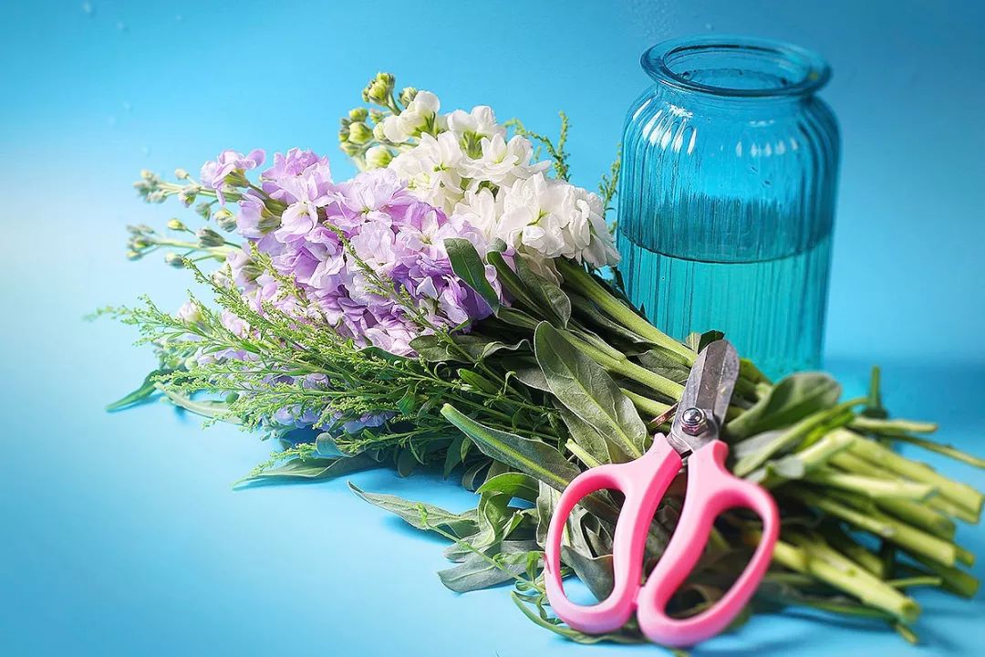 50种鲜切花花语,每个花艺师都要知道