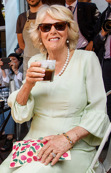 爱不爱看婚戒，戴妃的蓝宝戒指不算啥，卡米拉的婚戒才是无价之宝