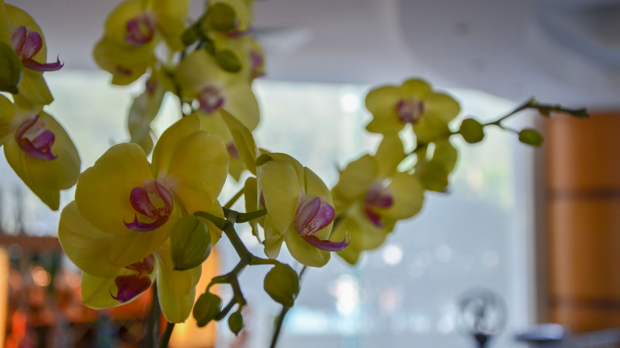 从化良口碧水湾,从化碧水湾攻略