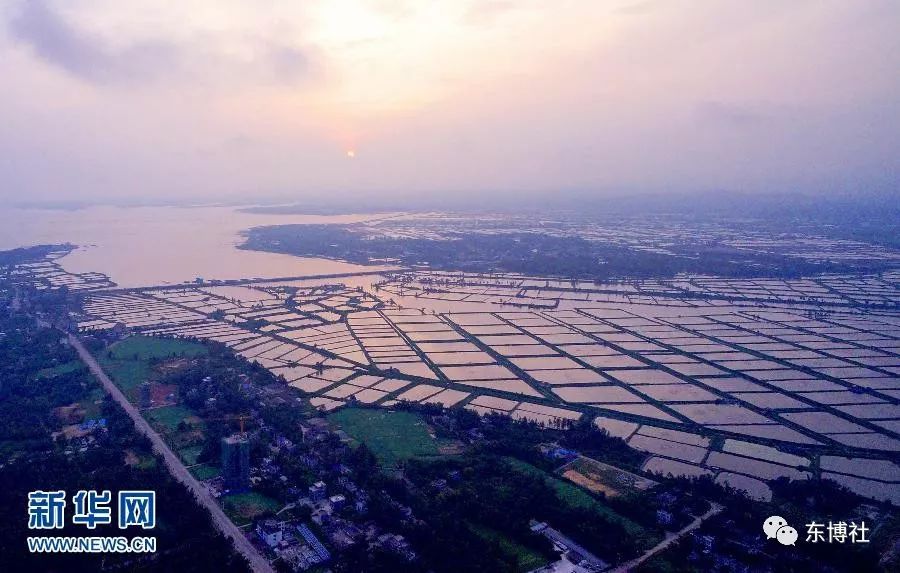 东兴是个浪漫的城市,曾经的东兴有什么故事