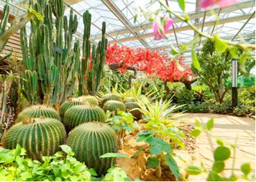 童话故事城堡豪宅,童话故事中的城堡