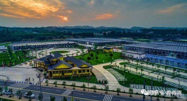 拜耳药企,拜耳制药2022秋招