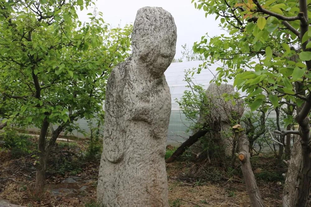 富平方言大全,富平方言属于哪个语系