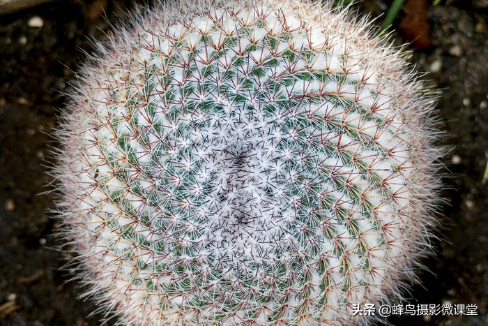 徕卡v-lux和徕卡v-lux5有什么不同,徕卡v-lux5