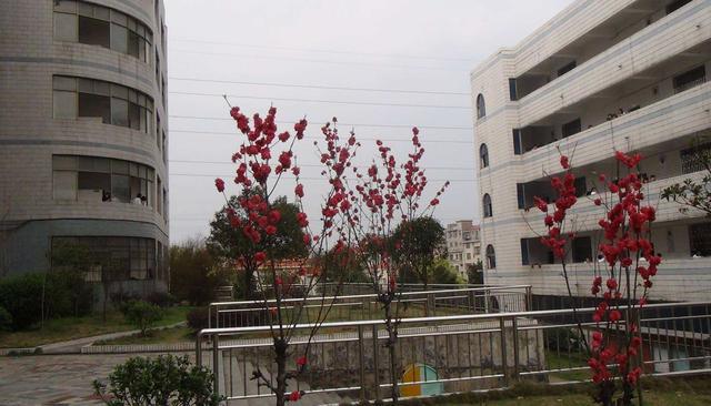 郴州市最好的高中有哪几所,郴州最好的高中是哪个学校