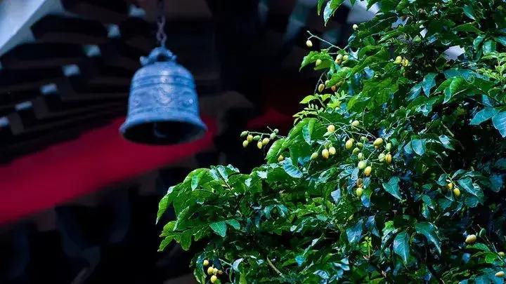 人死后去阴间的全过程，看醒了很多人！