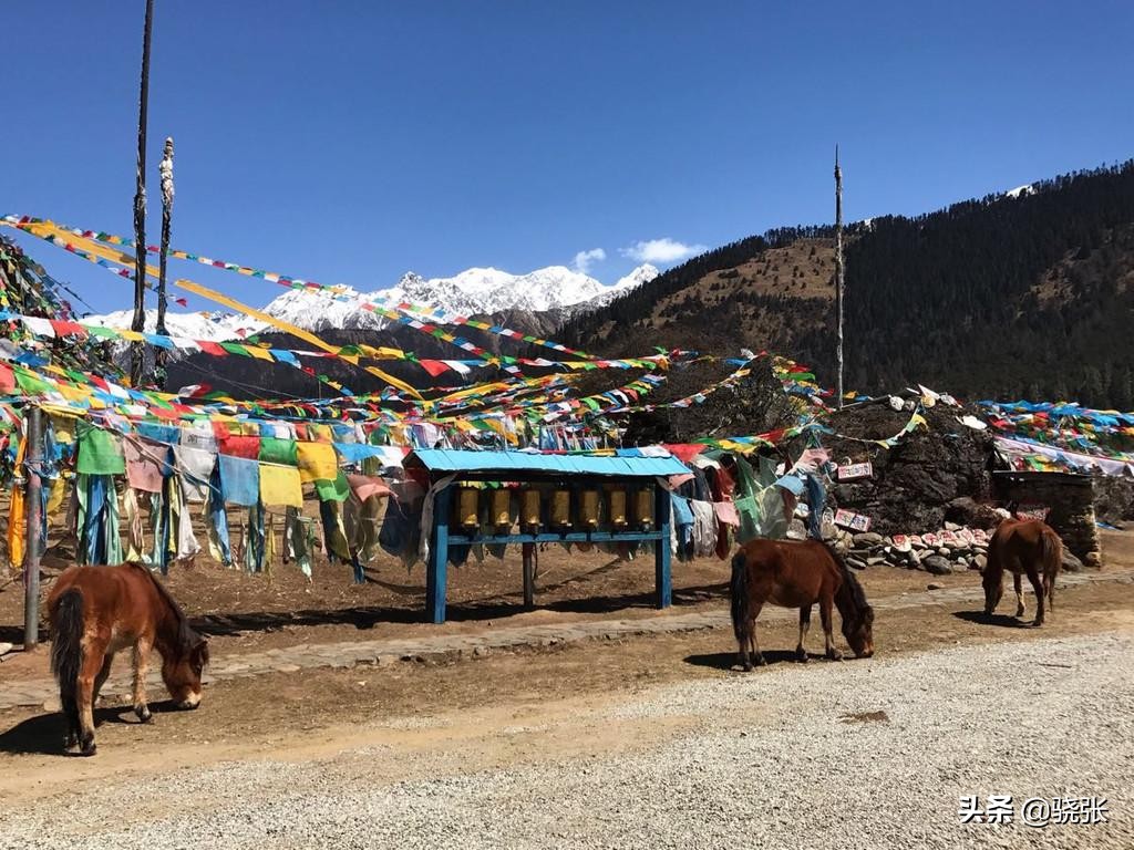 到西藏途中有哪些风景,去藏区的路上为什么都是经幡
