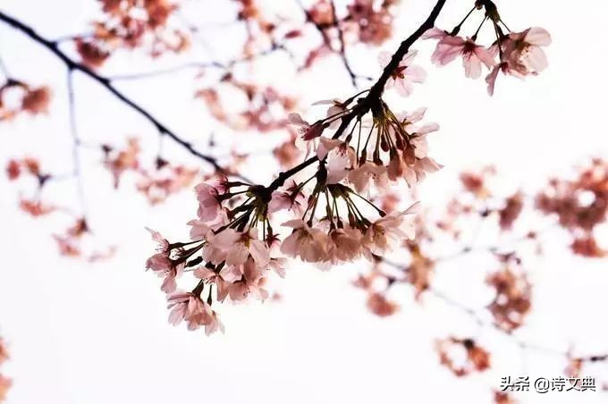 作文中该怎么写友情,友谊作文怎么写高分