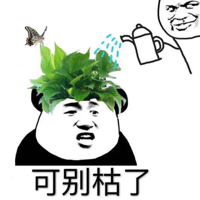 被绿几率,被绿概率百分百