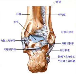 踝关节撞击症问诊,踝关节撞击综合征的x线表现