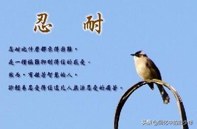 忍为什么是一把刀和一颗心,为什么忍字底下有个心