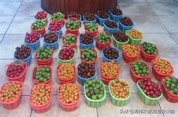 中国十大生态园农家乐,30亩小型休闲农庄效果图