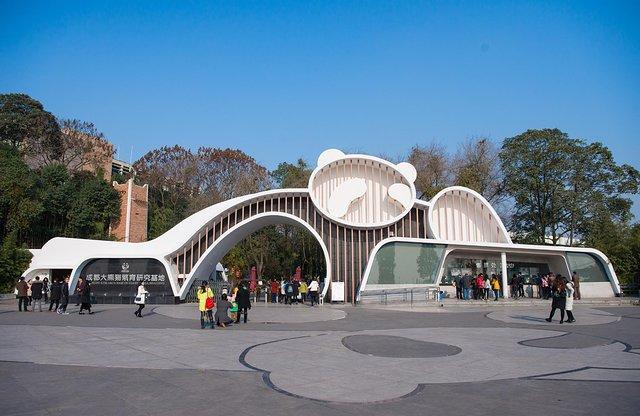 成都网红旅行攻略,四川成都新津最新网红打卡景点