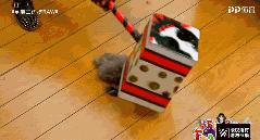 raw塞斯罗林斯完整版,raw新双打冠军