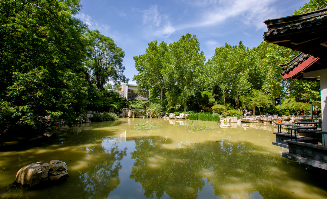 济南值得打卡的公园,好玩的泉城公园