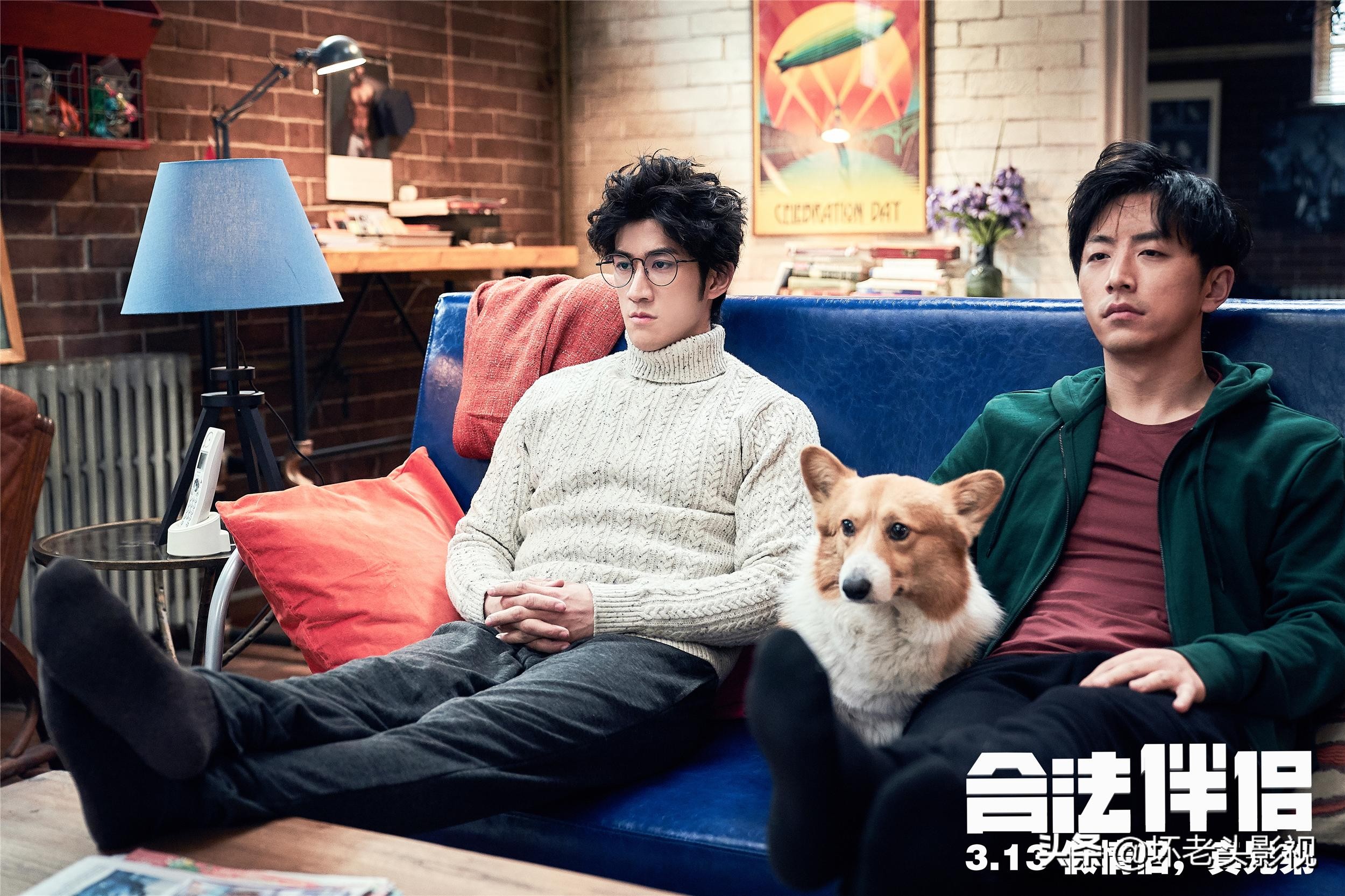 2019最爆笑喜剧片,21年最搞笑喜剧片