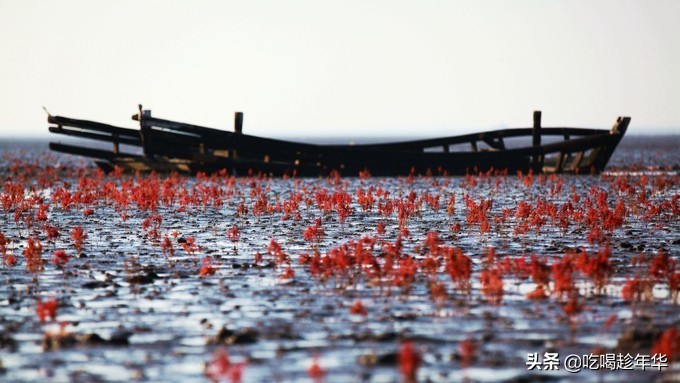 营口团山海洋公园是北海公园吗,营口团山海洋公园和金帛滩哪个好